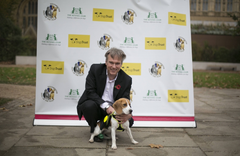 Henry Smith MP takes pet beagle for walkies in Westminster