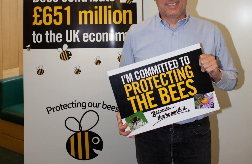 Crawley MP: Keep the ban on bee-harming pesticides