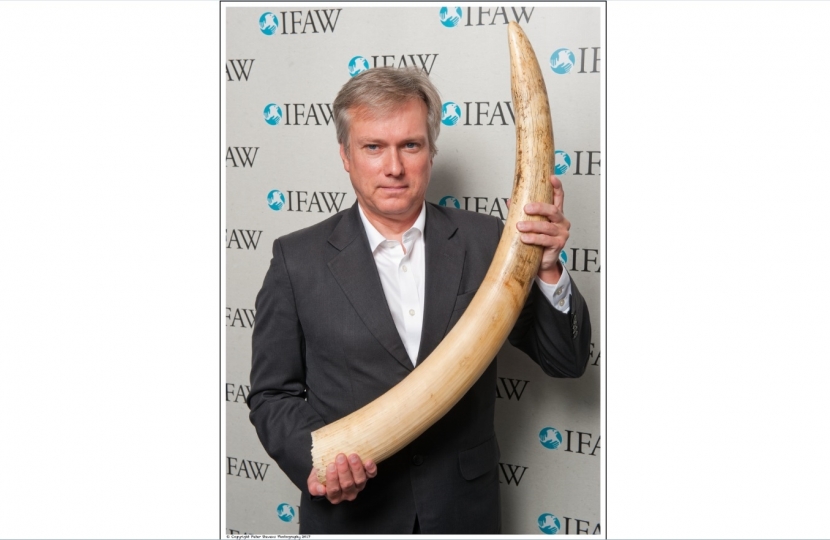 Henry Smith MP backs UK ivory surrender to protect elephants