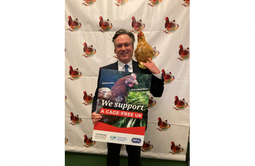 Henry Smith MP backs ending cages for laying hens
