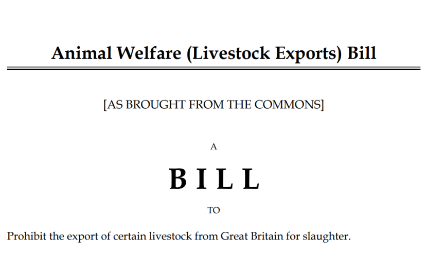 Henry Smith MP delight that ban on live animal exports is to become law