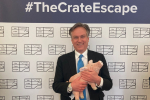 Henry Smith MP backs ending the use of farrowing crates