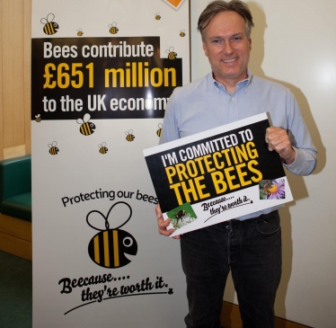 Crawley MP: Keep the ban on bee-harming pesticides