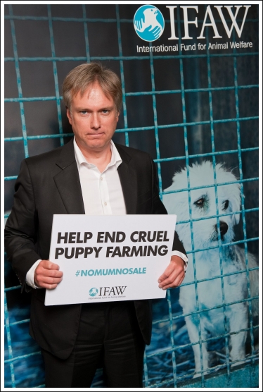Henry Smith MP backs new campaign targeting the cruel UK puppy trade