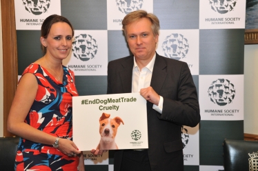 Ending the dog meat trade
