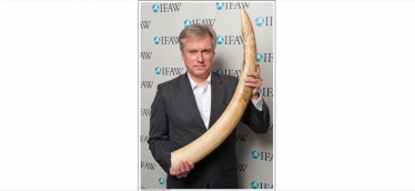 Henry Smith MP backs UK ivory surrender to protect elephants