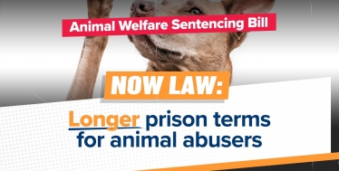 Henry Smith MP welcomes justice for animals as tougher sentencing Bill becomes law
