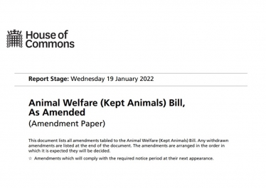 Henry Smith MP tables amendment to key Animal Welfare Bill to protect hens before slaughter