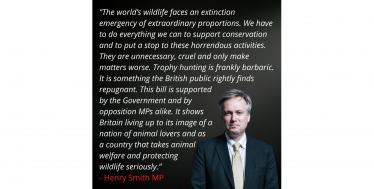 Taking action in Parliament to tackle trophy hunting