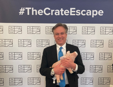 Henry Smith MP backs ending the use of farrowing crates
